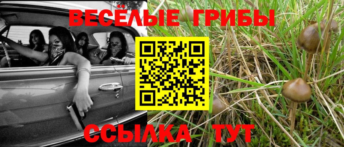 Галлюциногенные грибы Psilocybine cubensis Стерлитамак