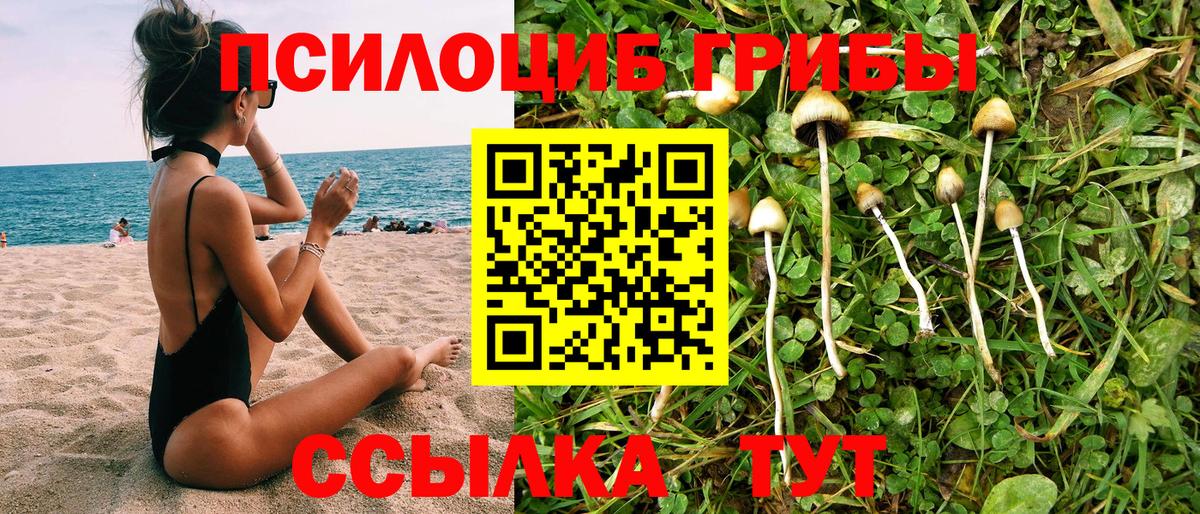 где купить наркоту  Вход с VPN  Стерлитамак  Галлюциногенные грибы Cubensis 